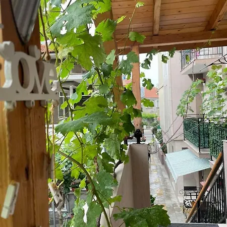 Rodos House Guest house *